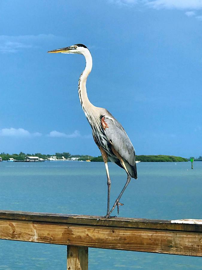 Shorewalk Full Condo Lake View Near To Beach Img Bradenton Exterior foto